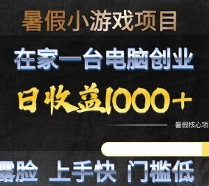 2025暑假低门槛小游戏创业项目 无需露脸在家用电脑即可操作-雨叶虚拟资源网