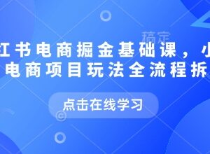 2025年9月更新 小红书电商全流程运营玩法拆解实战课程-雨叶虚拟资源网