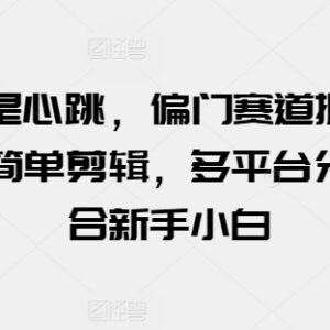 适合新手的极限运动视频搬运剪辑 多平台分发变现方法-雨叶虚拟资源网