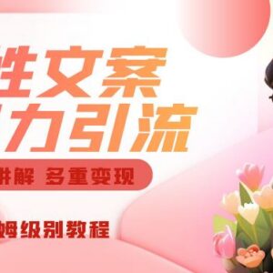 人性文案引流及多重变现玩法保姆级教程 附全套实操资料-雨叶虚拟资源网