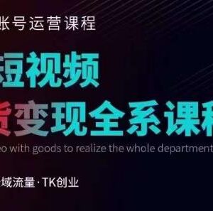 TikTok运营线上训练营教程 涨粉引流带货变现玩法全解析-雨叶虚拟资源网