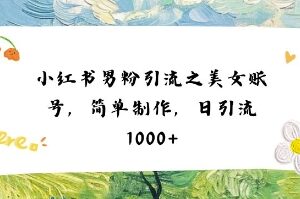 小红书男粉引流方法:美女账号简单制作不违规易出爆款笔记-雨叶虚拟资源网