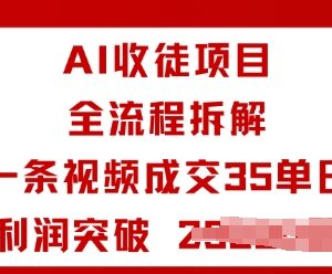 AI收徒项目全流程拆解 可复制实操玩法单日利润轻松破千-雨叶虚拟资源网