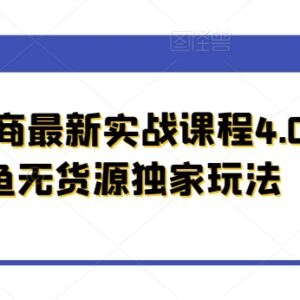 闲鱼电商实战课程4.0 无货源运营全流程独家实操玩法教学-雨叶虚拟资源网