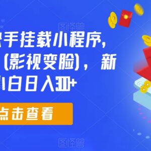 0粉可做抖音快手超级变脸小程序挂载 新手日入300+实操教程-雨叶虚拟资源网