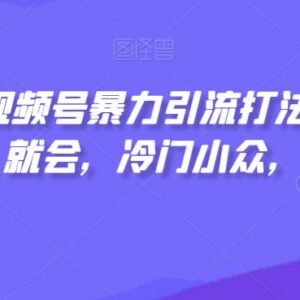 视频号冷门引流实操打法教程 小白易上手可实现日均收入300+-雨叶虚拟资源网