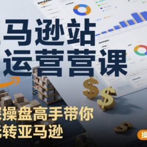 亚马逊站内运营全流程实操课 资深操盘手带你从小白进阶高手-雨叶虚拟资源网