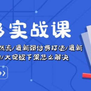 2024拼多多运营实战教程 万人团强付费卡大促等玩法合集-雨叶虚拟资源网