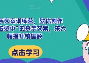 AI杀手文案训练营教学 掌握高转化文案技巧提升销售额-雨叶虚拟资源网