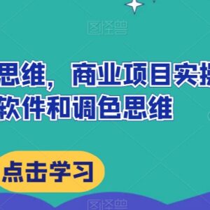 达芬奇调色实操教程 从软件操作到商业项目思维全打通-雨叶虚拟资源网