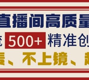 抖音直播间无需连麦上镜引流 日引500+精准创业粉实操教程-雨叶虚拟资源网