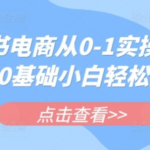 小红书电商0基础从0到1实操教程 小白开店运营全流程指南-雨叶虚拟资源网