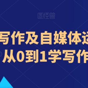 小说书评写作及自媒体运营 从0到1入门全流程实操教程-雨叶虚拟资源网
