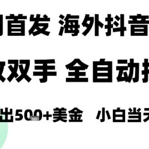 2025海外TikTok无人直播项目解析 新手可做单日稳定收益超千元-雨叶虚拟资源网