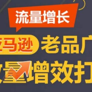 亚马逊老品广告放量增效打法 循序渐进打造TOP Listing实操教程-雨叶虚拟资源网