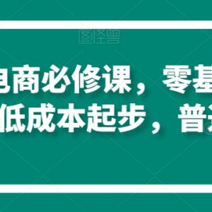 零基础淘系虚拟电商运营教程 普通人低成本起步完成原始积累-雨叶虚拟资源网