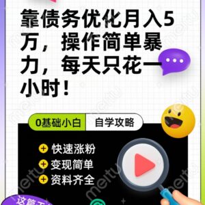 债务优化项目实操解析:低时间投入多途径变现方法分享-雨叶虚拟资源网
