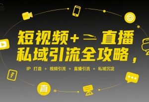 短视频+直播私域引流全攻略 从IP打造到私域沉淀实操指南-雨叶虚拟资源网