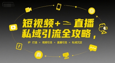 短视频+直播私域引流全攻略 从IP打造到私域沉淀实操指南