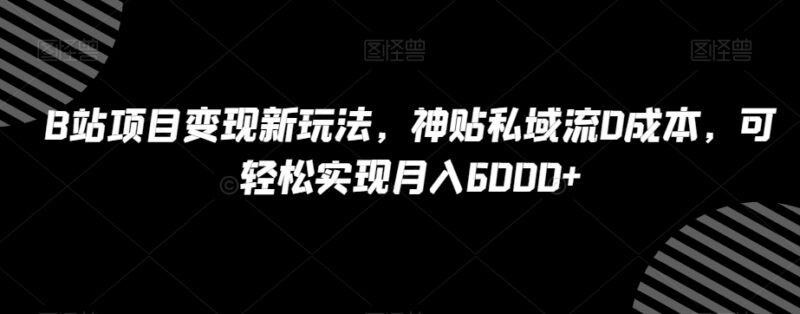 B站天涯神贴私域变现新玩法 零成本操作可实现月入6000+