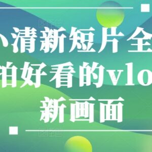 情感小清新短片全能班 从零学会拍通透有质感的vlog画面-雨叶虚拟资源网