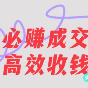 刘荧鑫必赚先锋官搞钱计划 无需听课按步骤即可圈人收钱-雨叶虚拟资源网