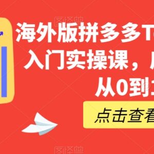海外版拼多多Temu从0到1开店实操课 全流程运营入门指南-雨叶虚拟资源网