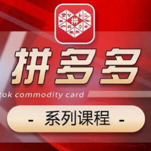 2024拼多多系统运营课程 基础运营活动推广玩法五大模块全覆盖-雨叶虚拟资源网