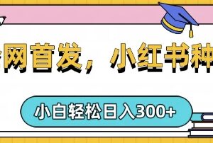 小红书种草类手机副业玩法 复制粘贴可矩阵运营单日收益300-雨叶虚拟资源网