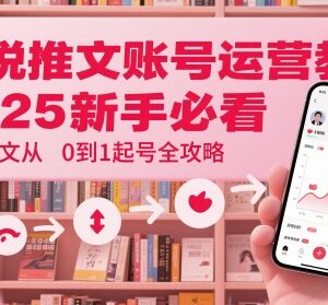 2025小说推文账号从0到1起号指南 新手运营入门全教程-雨叶虚拟资源网