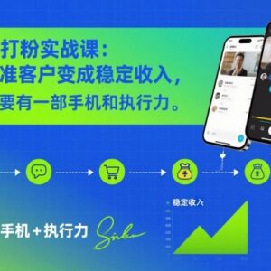 零基础线上打粉实战教程 手机操作即可引流精准客户获稳定收入-雨叶虚拟资源网