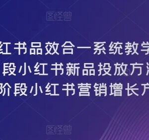小红书品效合一运营教程 0-10阶段新品投放及营销增长方法论-雨叶虚拟资源网
