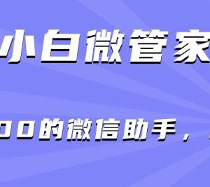 小白微管家核心功能汇总 实用微信助手工具使用指南-雨叶虚拟资源网