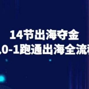14节跨境电商出海实操教程 从0到1跑通出海全流程-雨叶虚拟资源网