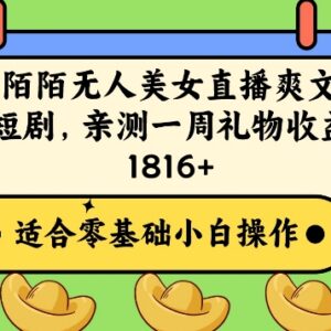 陌陌无人直播爽文短剧项目实操 亲测单周收益可达1800+-雨叶虚拟资源网