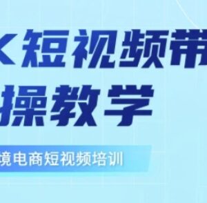 东南亚TikTok短视频带货实操教学 零基础跨境运营全流程指南-雨叶虚拟资源网