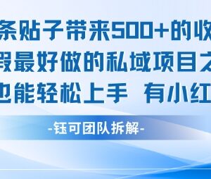 适合暑期做的低门槛私域项目 持有小红书账号小白即可赚收益-雨叶虚拟资源网