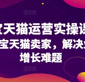 2024淘宝天猫运营全流程实操课 助力卖家解决业绩增长难题-雨叶虚拟资源网