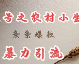 用DeepSeek创作农村题材内容 爆款打造及引流实操全教程-雨叶虚拟资源网