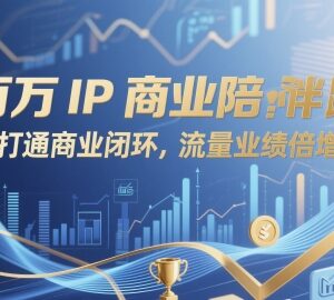 百万IP商业陪跑全套教程 打通运营闭环实现流量业绩增长-雨叶虚拟资源网