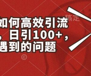 小红书高效引流创业粉实操指南 日引100+常见问题全解析-雨叶虚拟资源网
