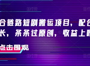 抖音融合链路短剧搬运项目 搭配侠客爆改时长可高效过原创获收益-雨叶虚拟资源网