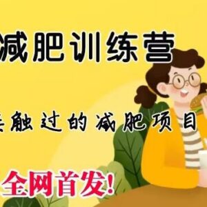 线上减肥训练营怎么做 低门槛操作实现月入五位数方法揭秘-雨叶虚拟资源网