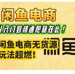 闲鱼电商实战课详解 无货源玩法从入门到精通全流程教程-雨叶虚拟资源网