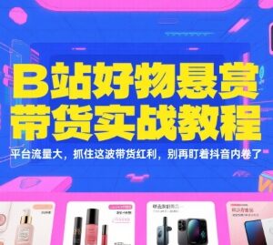 B站好物悬赏带货实操全教程 新手入门抓住平台流量新红利-雨叶虚拟资源网