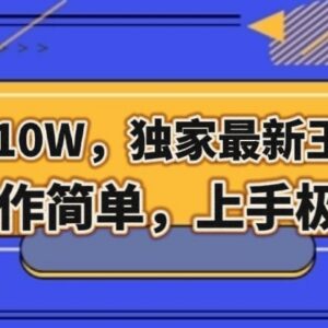 2024年化太岁玄学账号新玩法 低门槛三个月变现10万项目解析-雨叶虚拟资源网