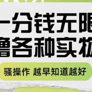 一分钱撸实物实用玩法详解 教你日常网购省钱少花冤枉钱-雨叶虚拟资源网