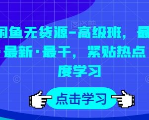 闲鱼无货源高级运营教程 从基础操作到爆单玩法全讲解-雨叶虚拟资源网