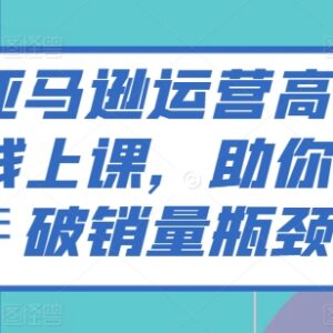 亚马逊高阶运营线上课程 全链路实操教学助力突破销量瓶颈-雨叶虚拟资源网