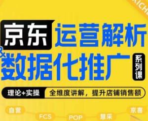 京东运营与数据化推广系列课 全维度讲解运营逻辑与销售额提升技巧-雨叶虚拟资源网